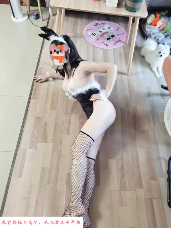 后入小骚货 第2张