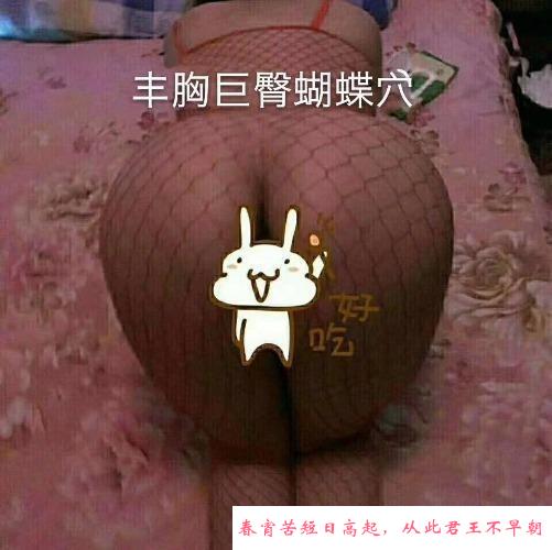 青岛骑巨臀大马 第1张