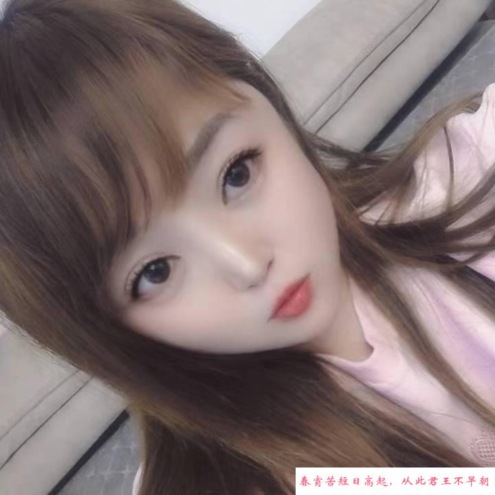 哈市糖宝 第1张