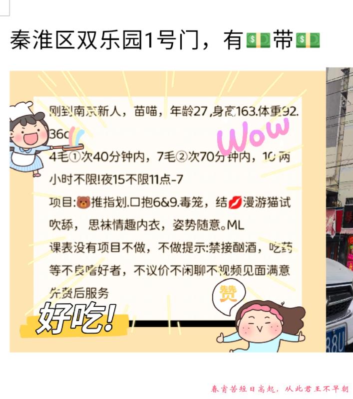 秦淮苗喵 第2张