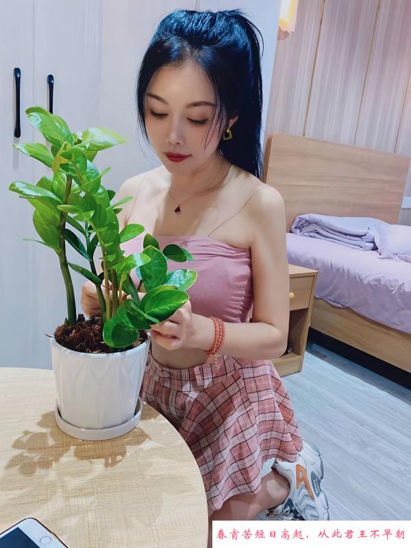 渝北服务控毛毛 第4张