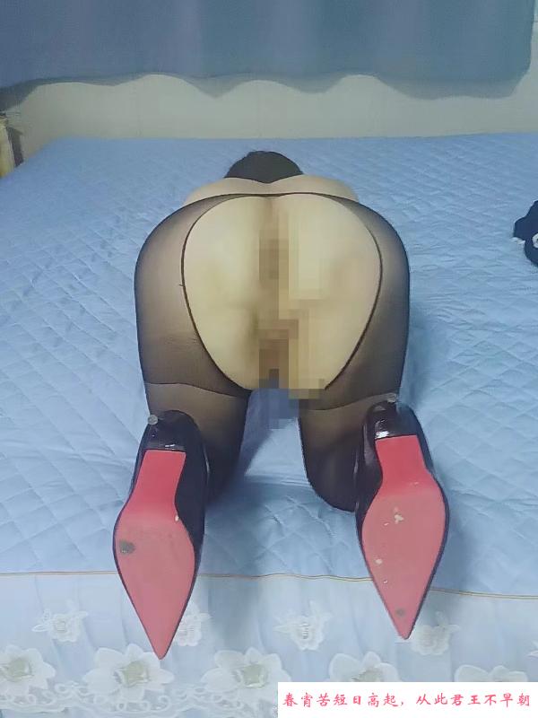 东北熟女姐姐 第2张