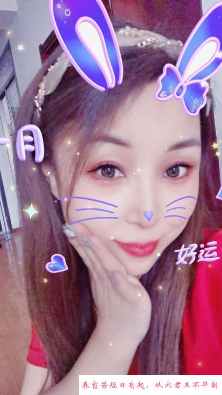 北辰区小燕子 第2张