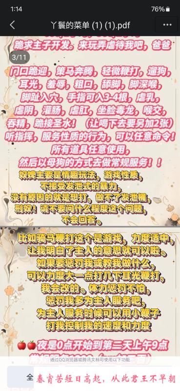 沈阳SM母狗 第3张