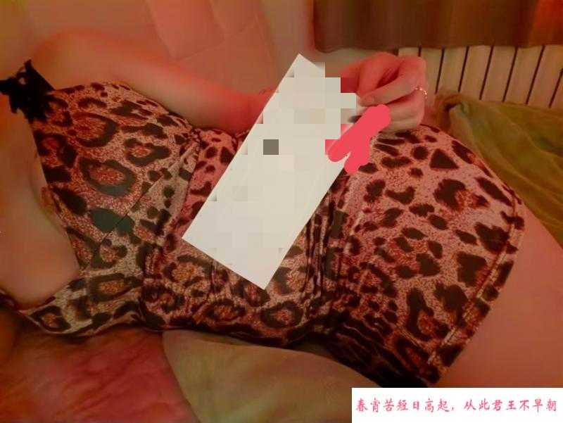 本市性感少妇 第1张